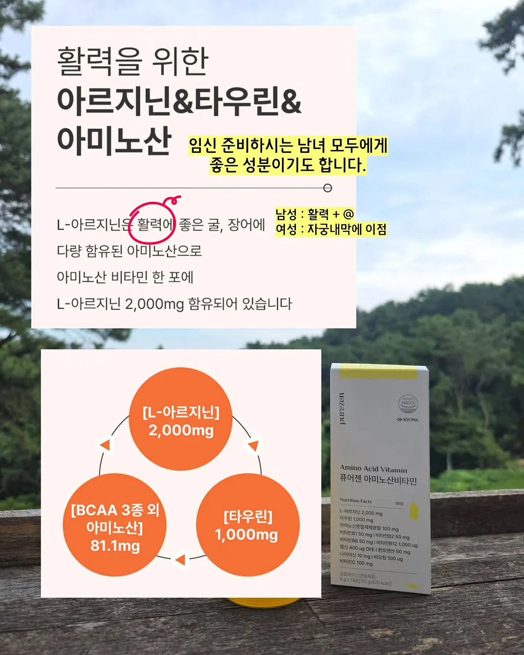 세계철학전집 초월자의 조건 5