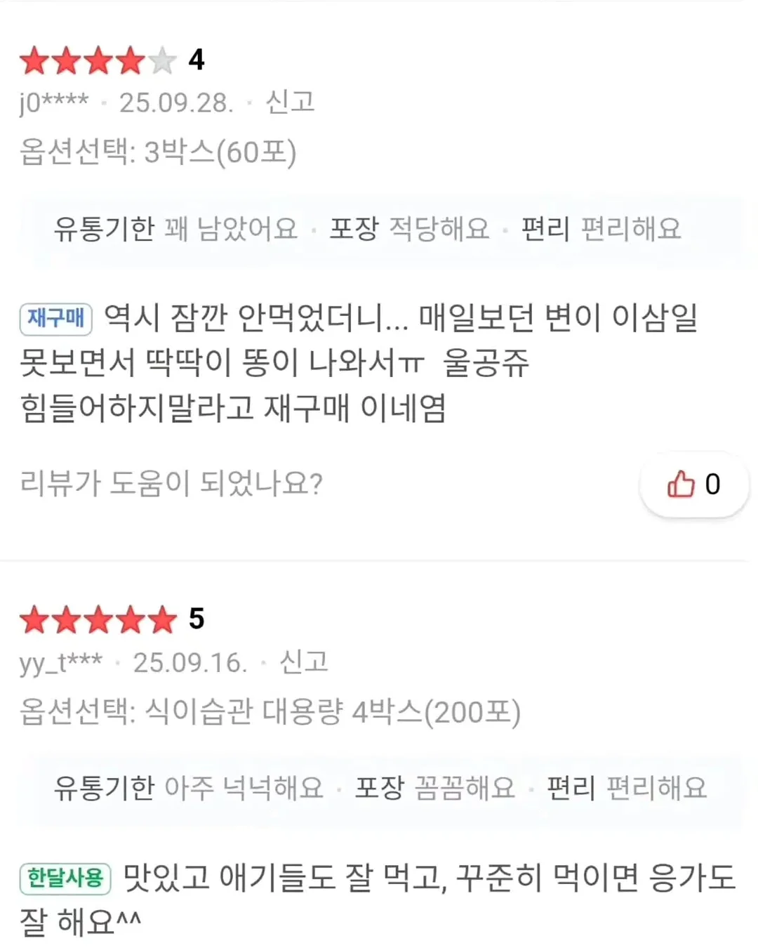 여름 신상 15