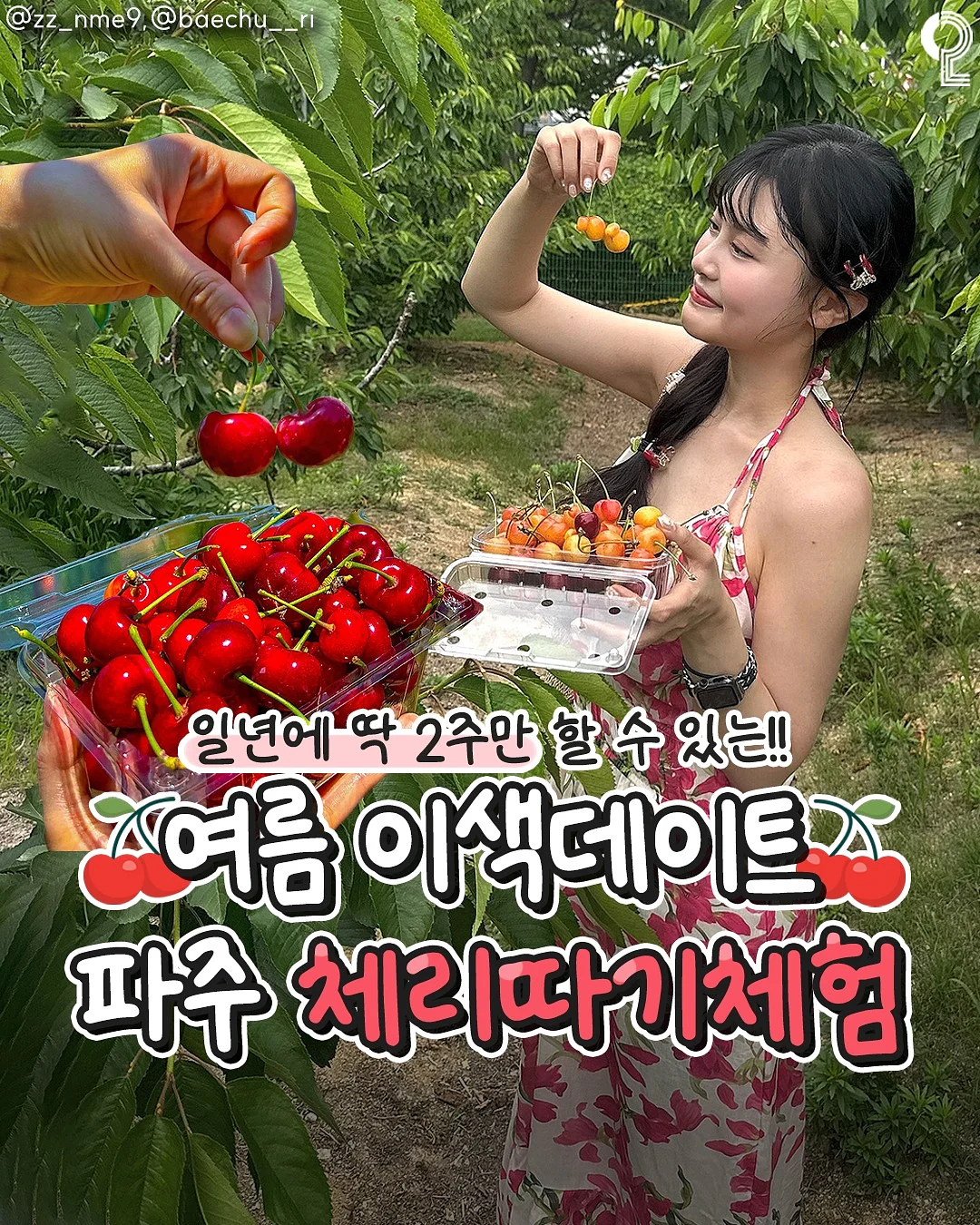 극세사 항균 행주 1