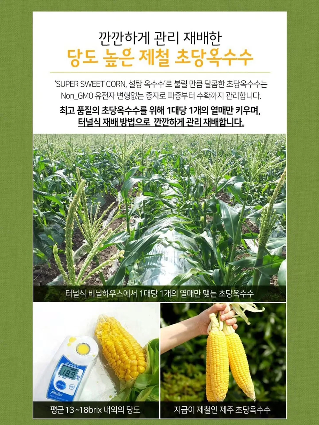 주문 제작 무드등 11