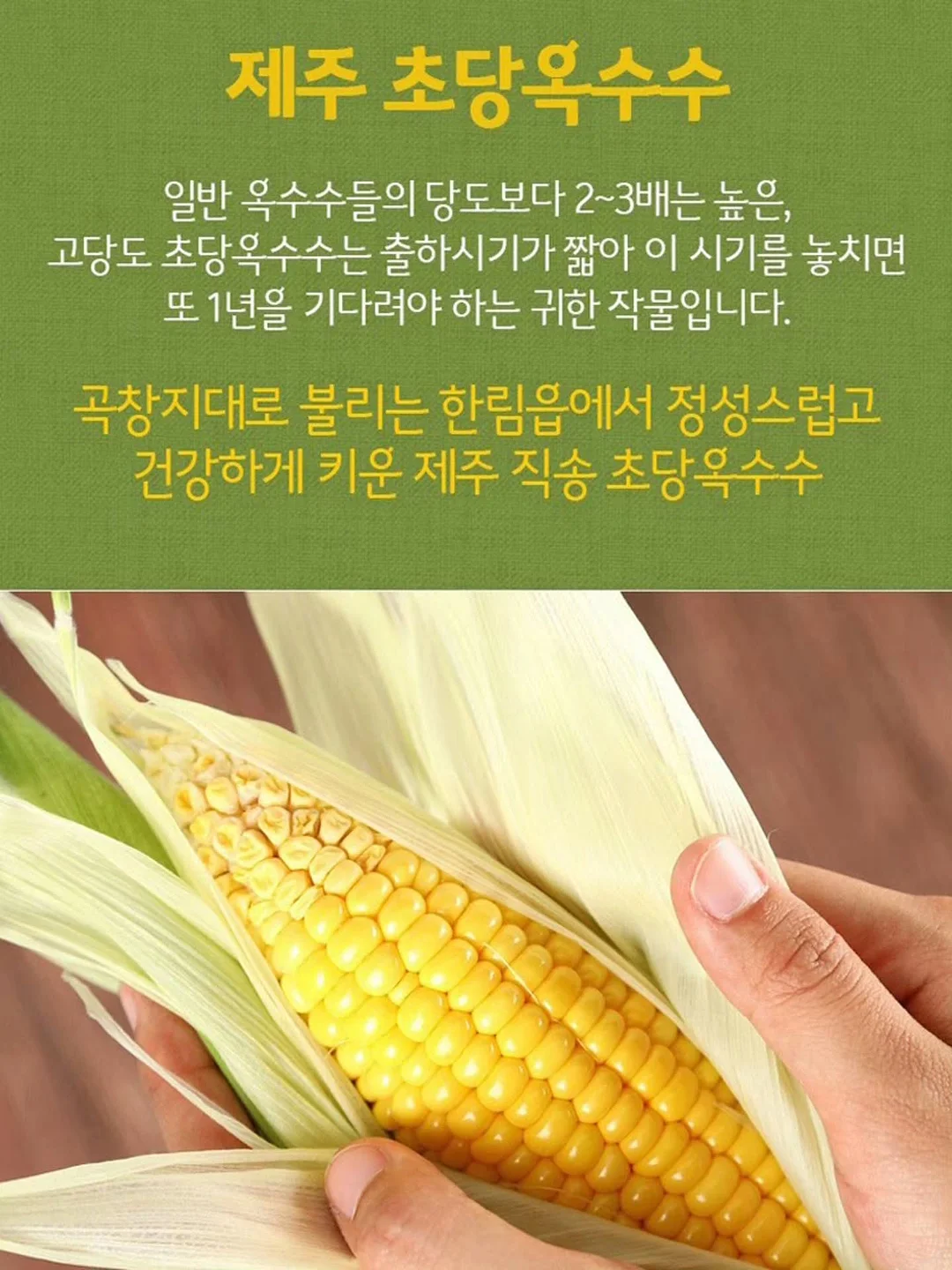주문 제작 무드등 9