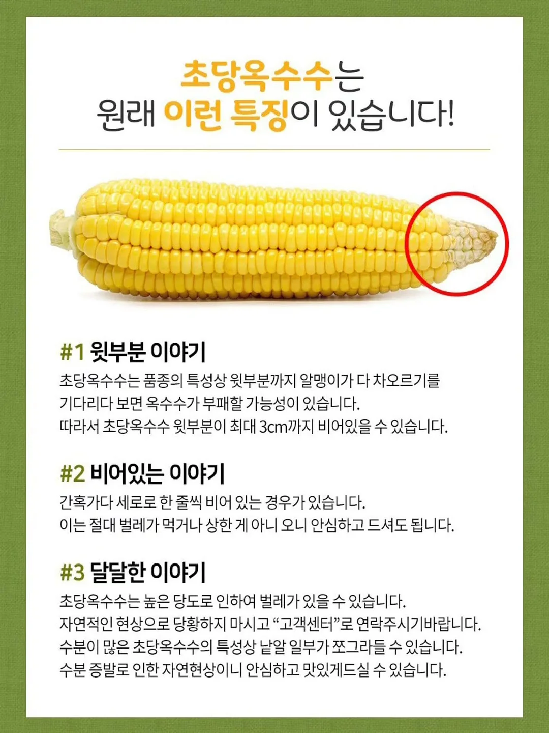 주문 제작 무드등 10