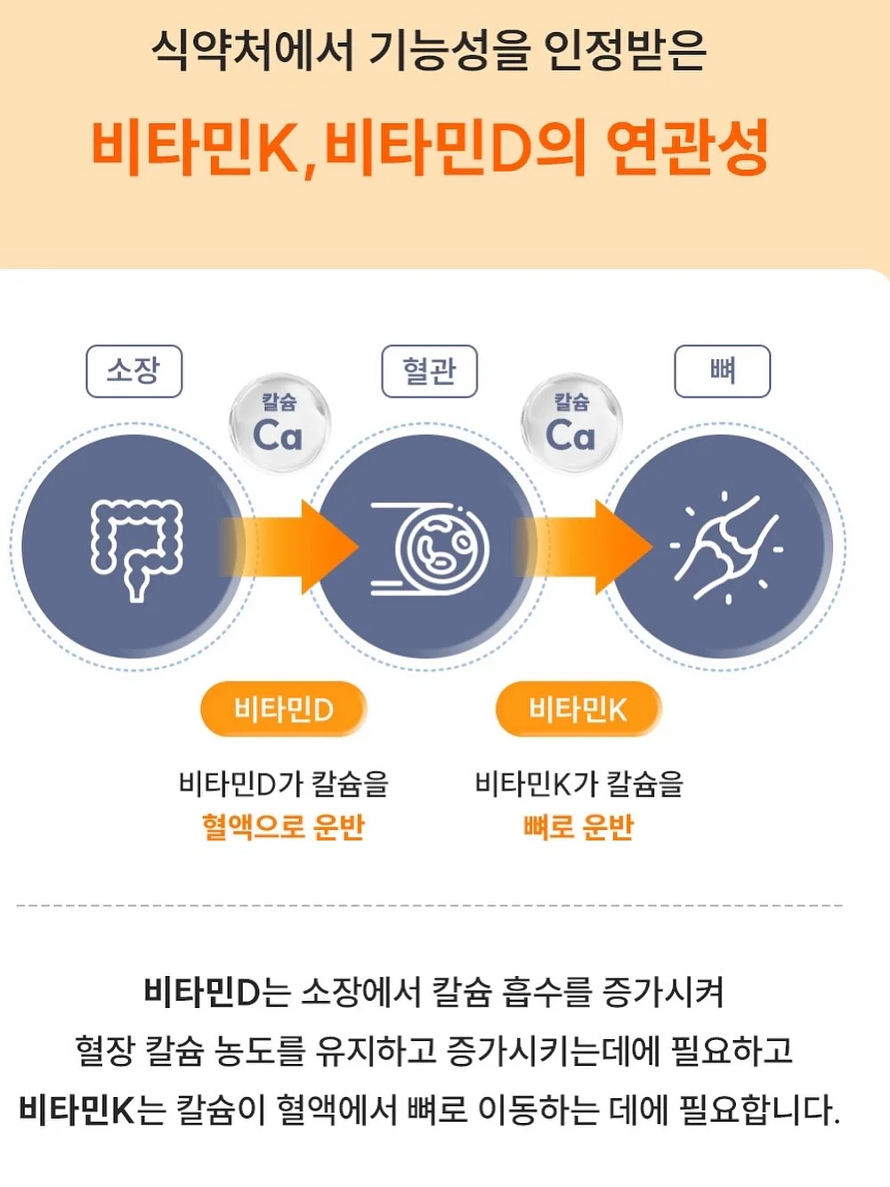 곤약젤리 7