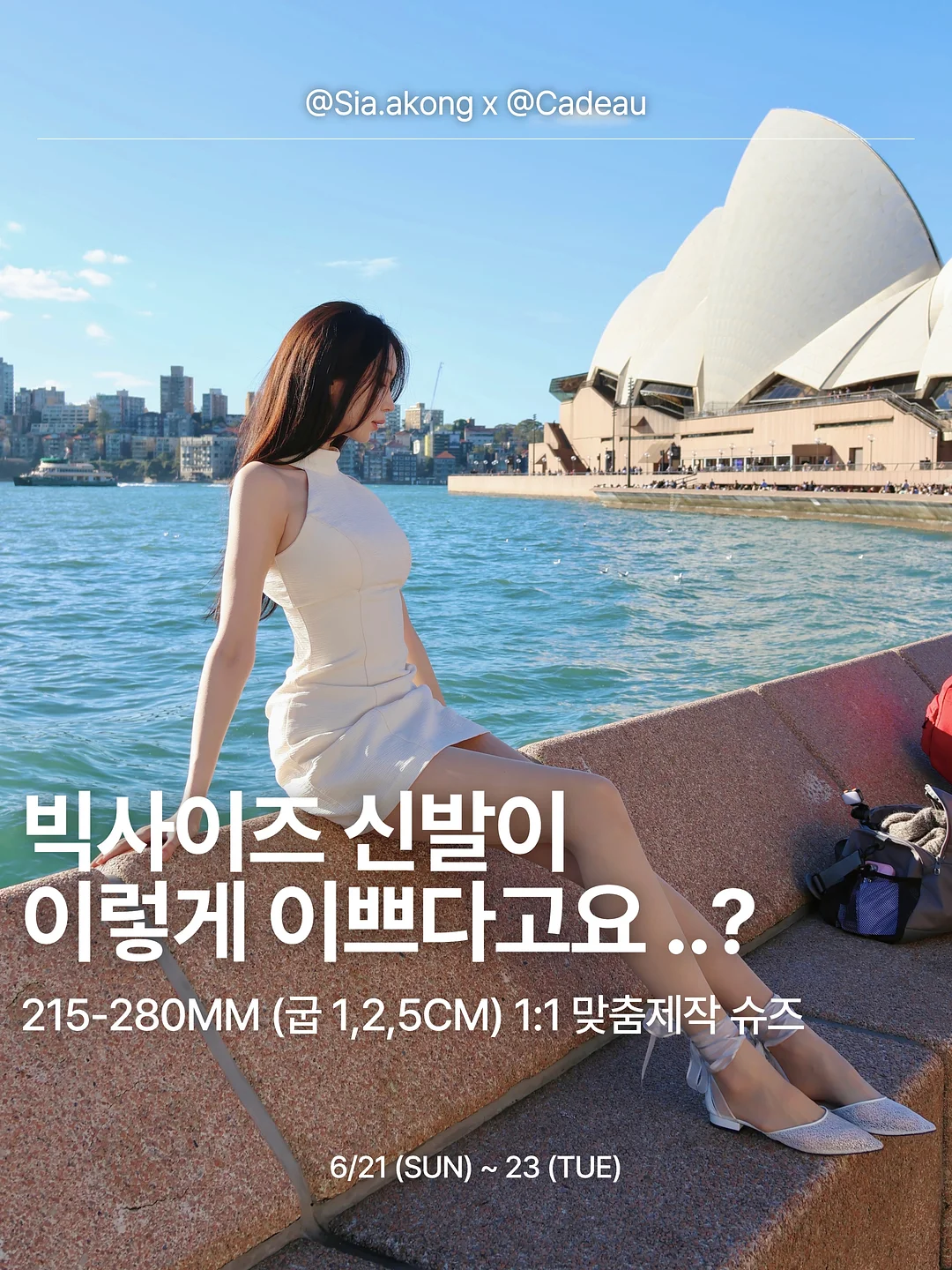 아토젯 세디필터 4팩*24개월분 1