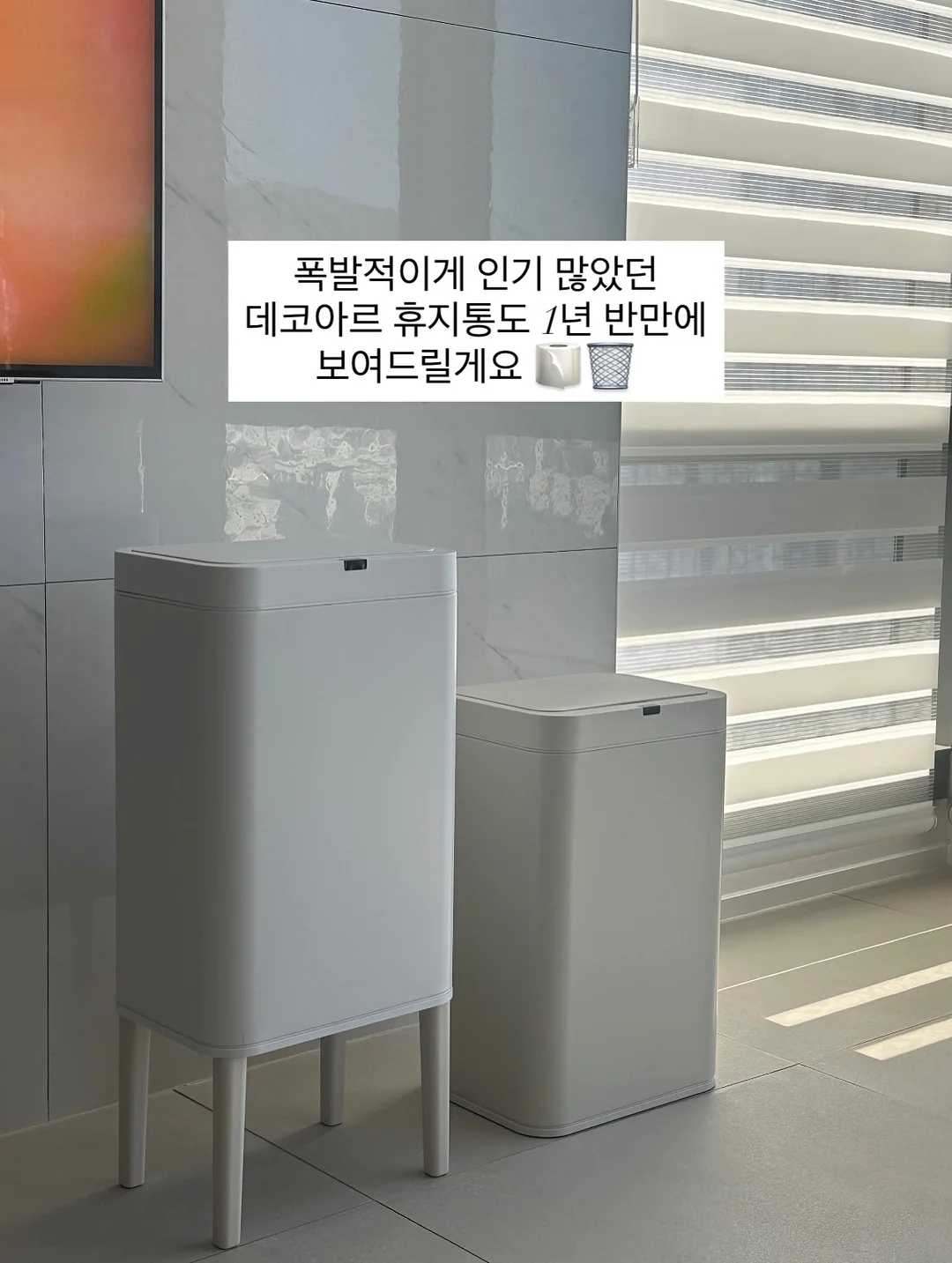 고당도 씨없는 수박 2