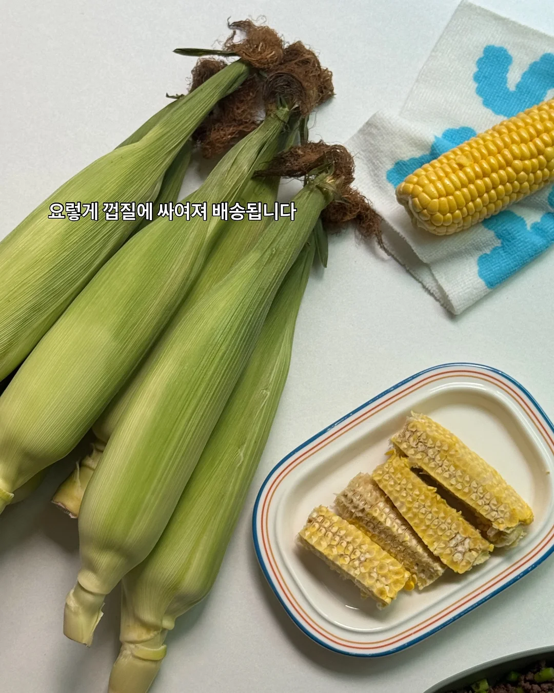 모자 및 가방 2