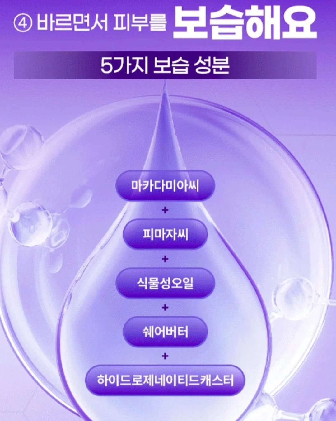하코트 살구 로얄과/미니 12