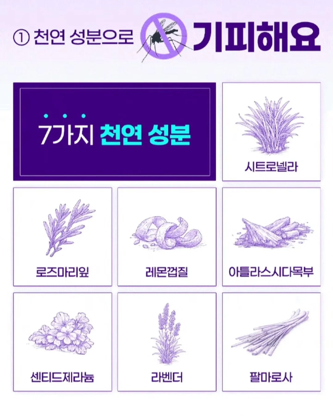 하코트 살구 로얄과/미니 7