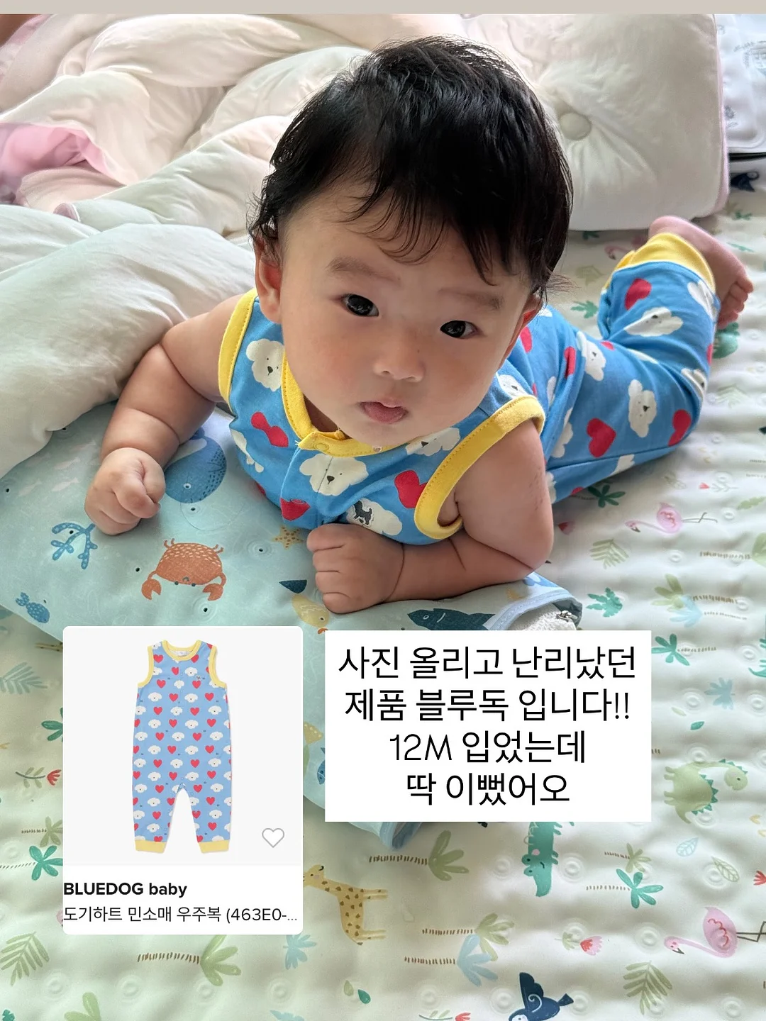 도마 가위 13