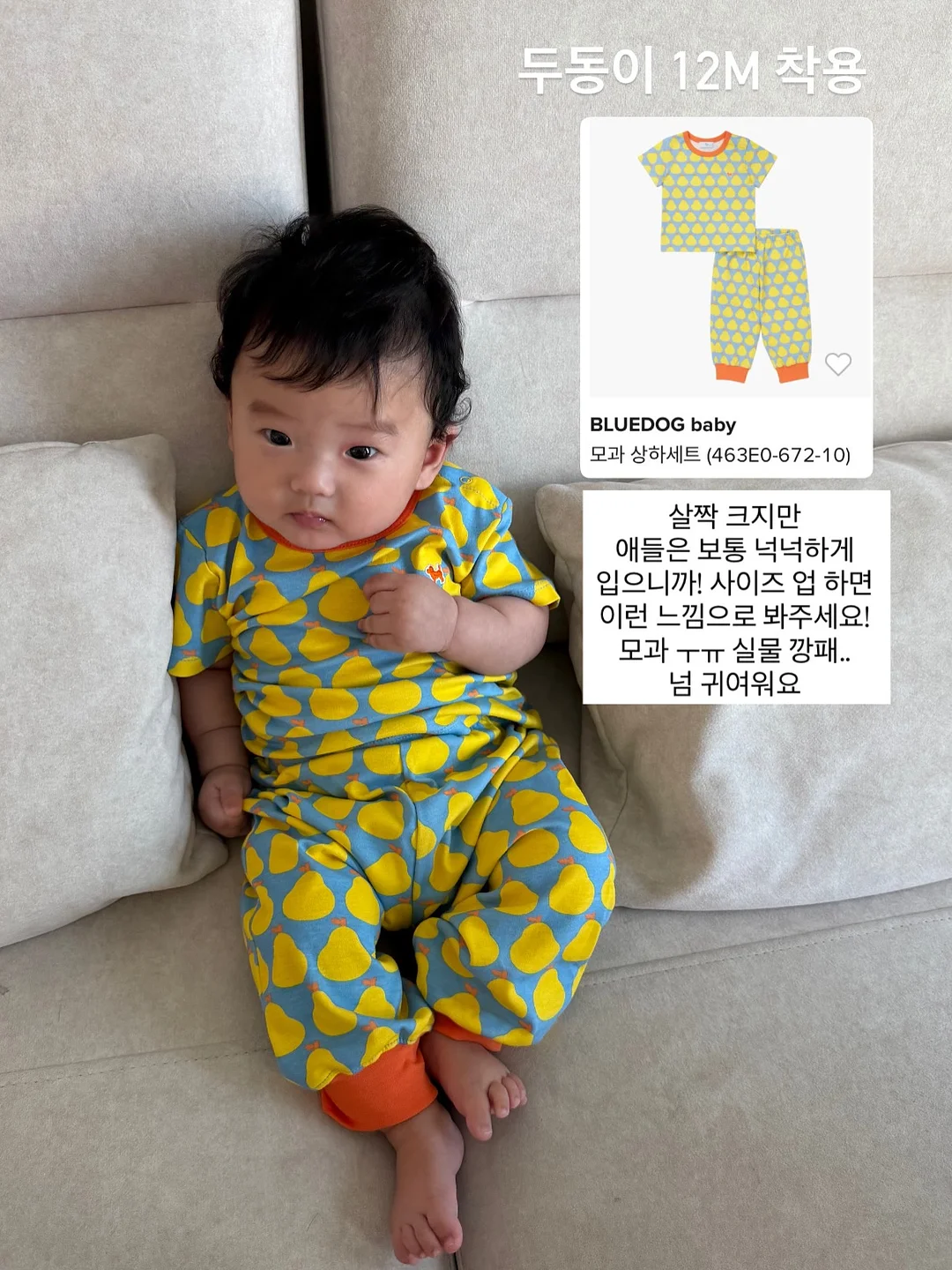 도마 가위 19