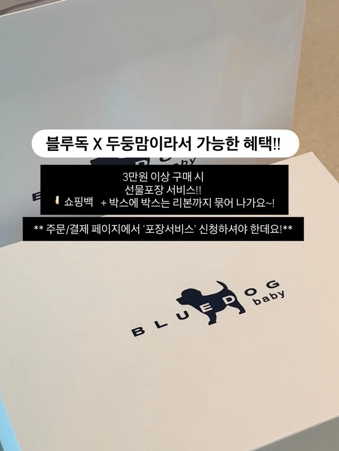 도마 가위 3