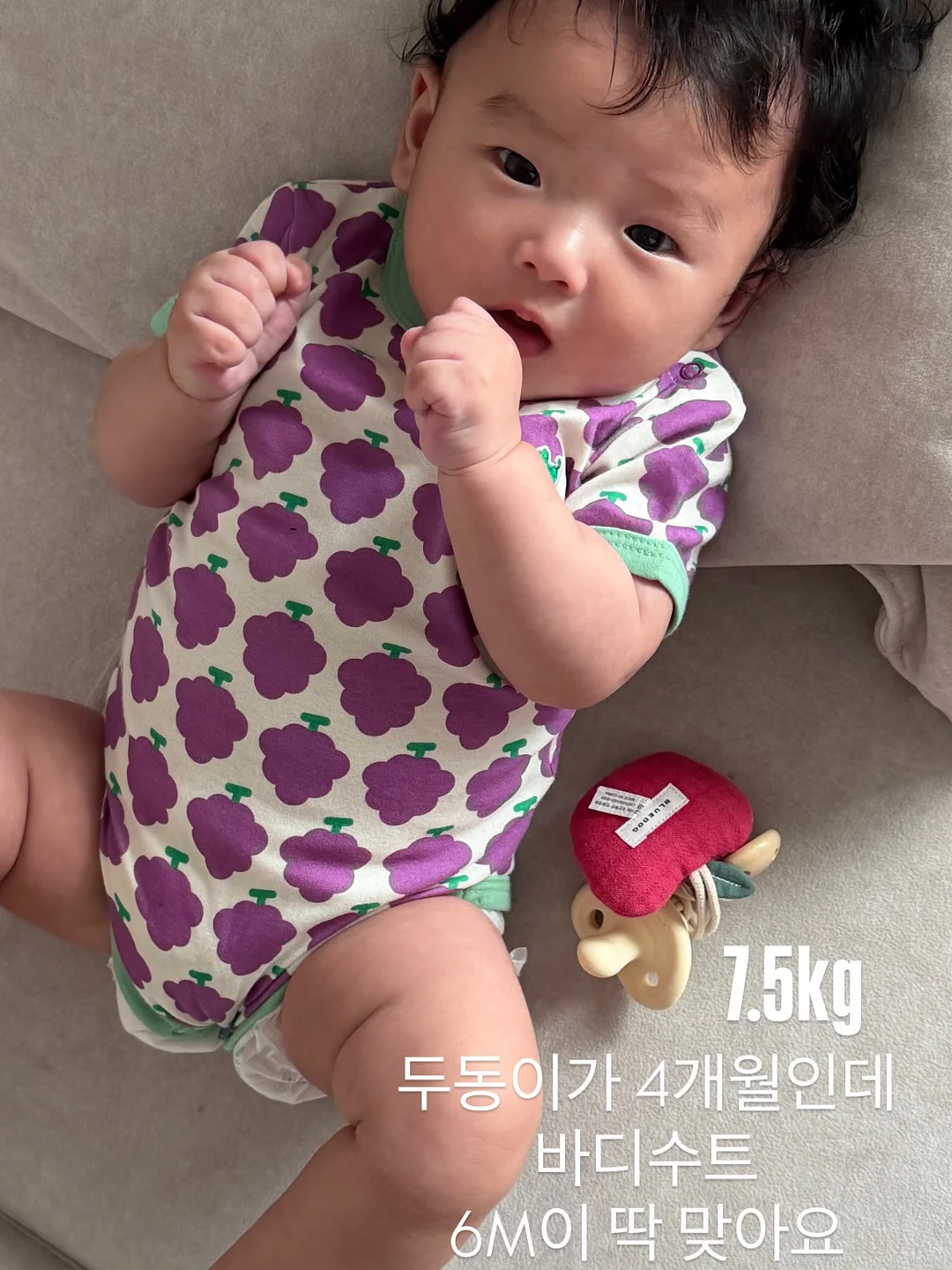 도마 가위 5