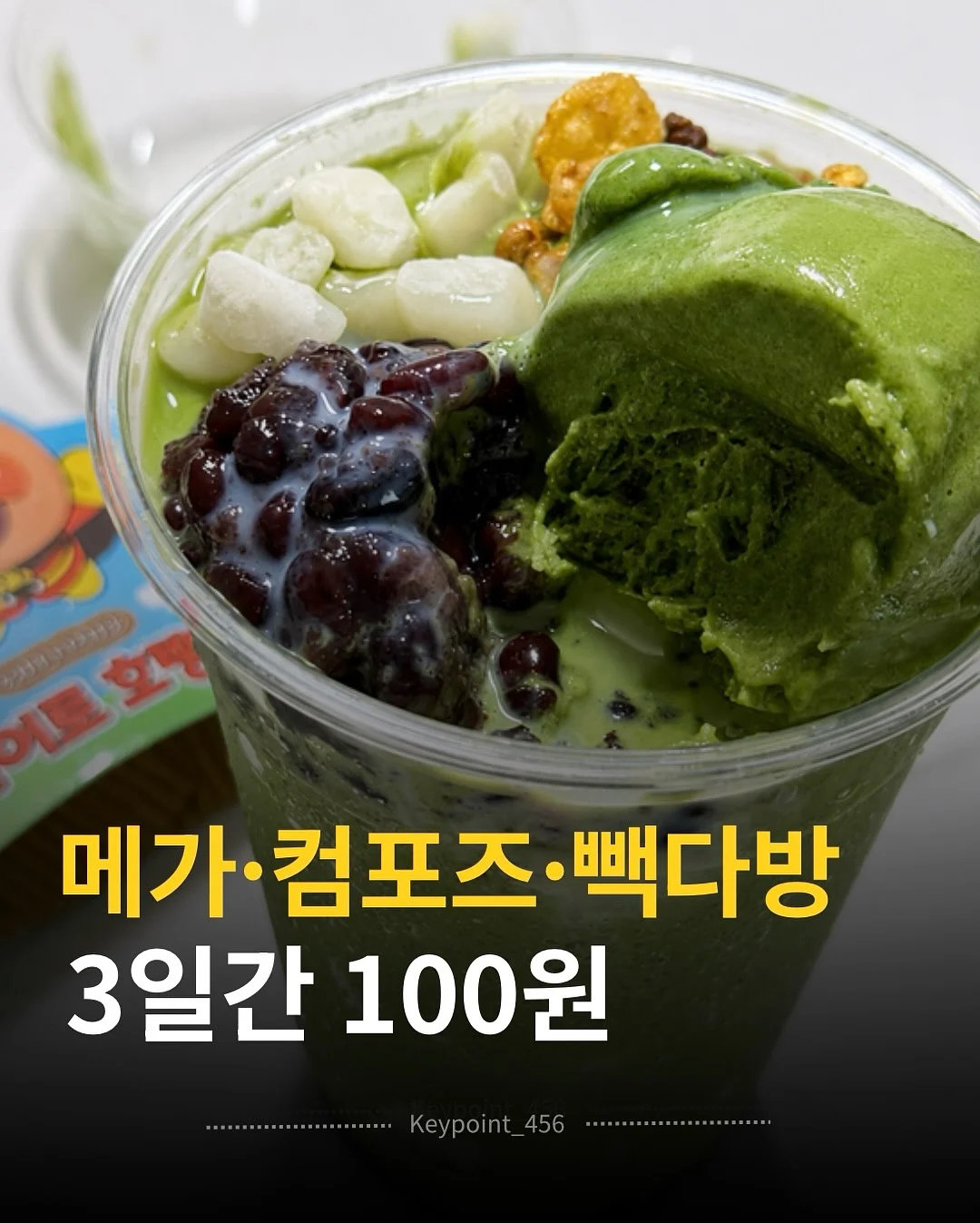 써머 테리 셋업 1