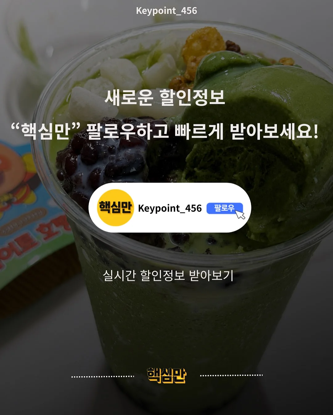 써머 테리 셋업 3