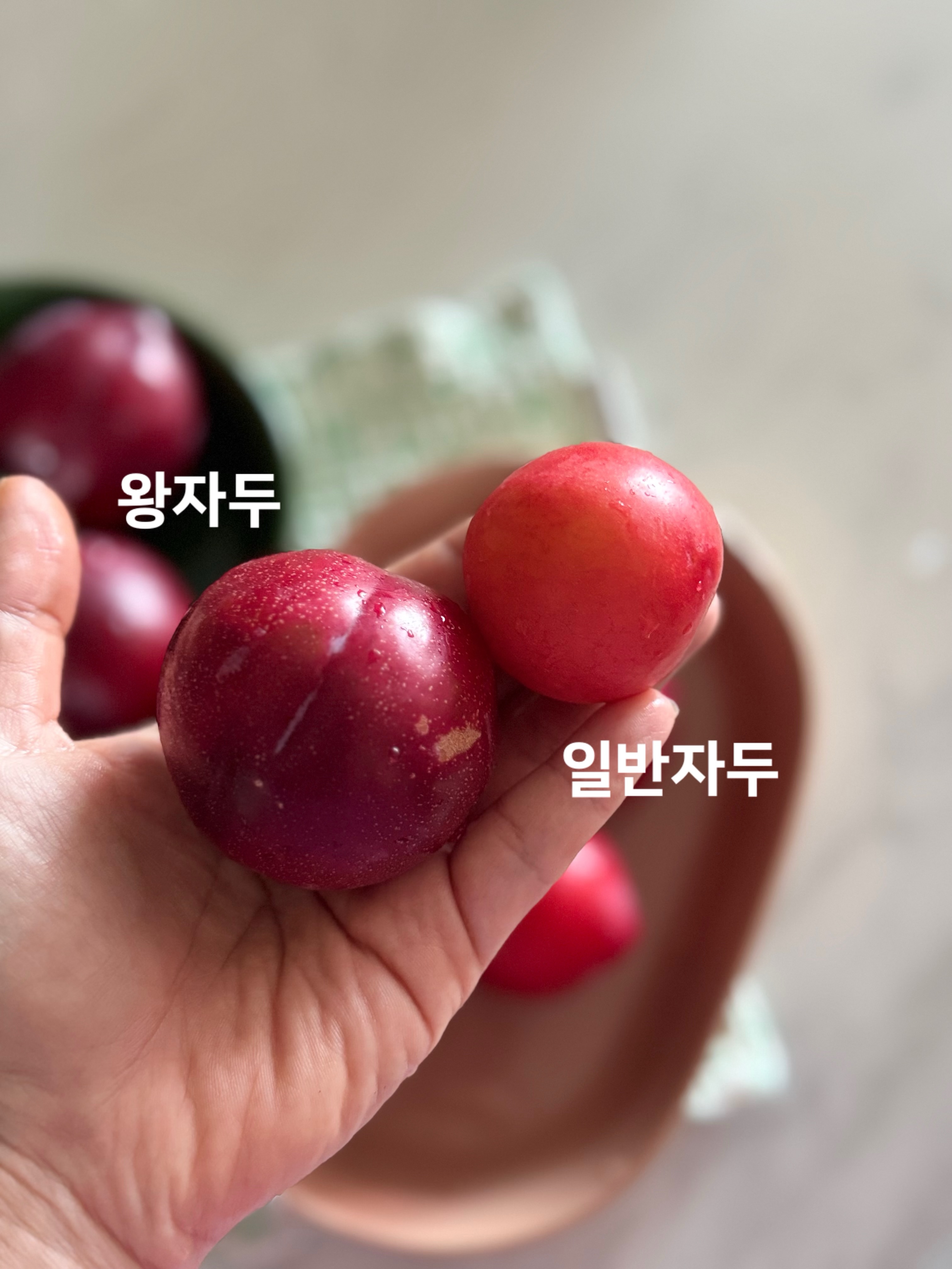 시크라인 수건 3