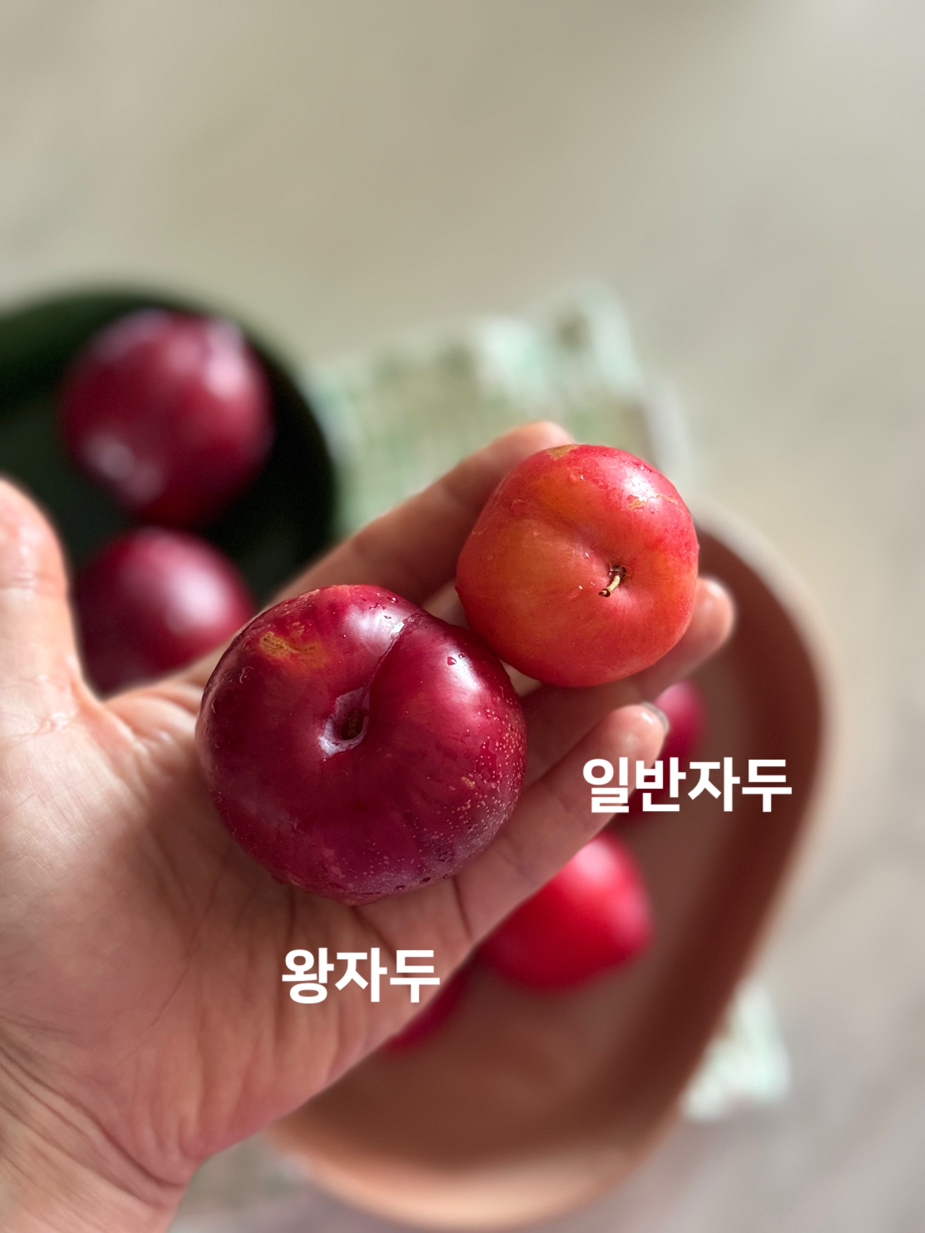 시크라인 수건 4