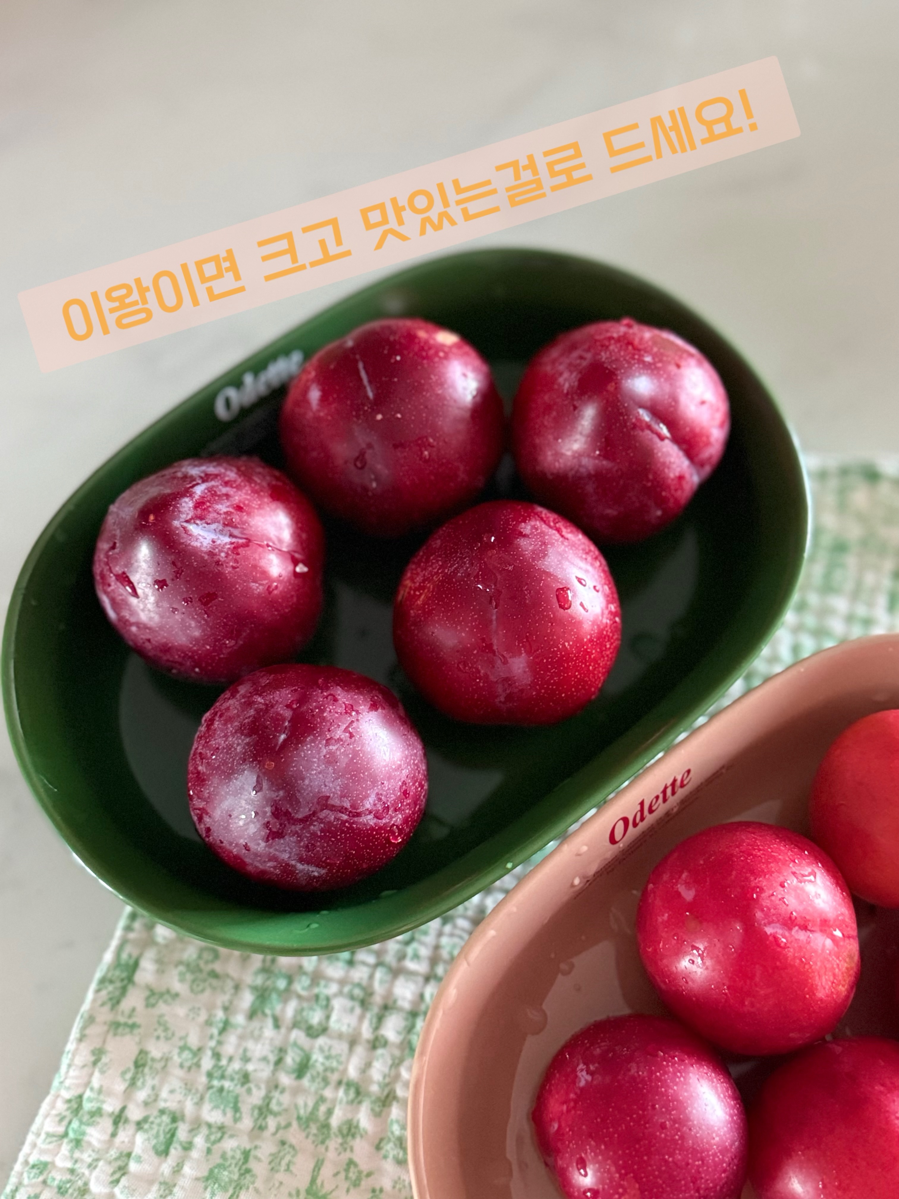시크라인 수건 5