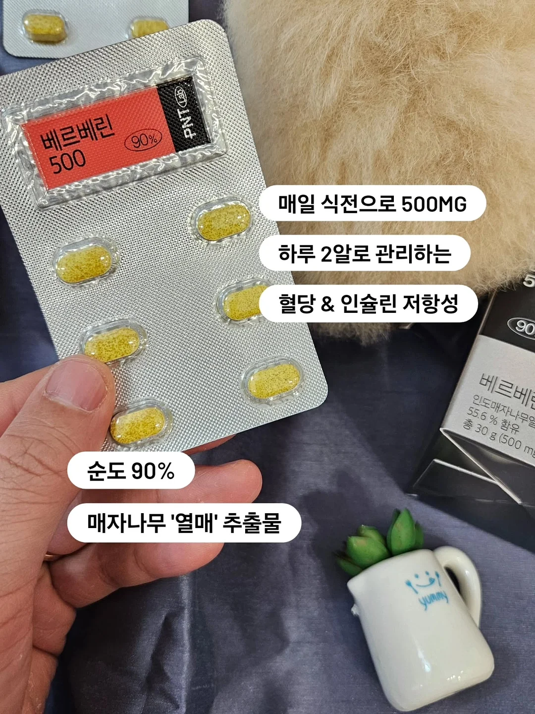 폴로 PK 카라티 6