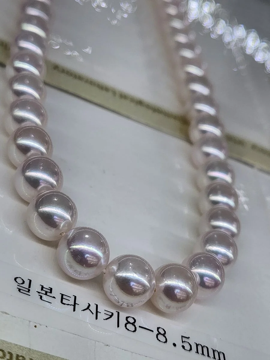 브라운아지트 슈톨렌 1