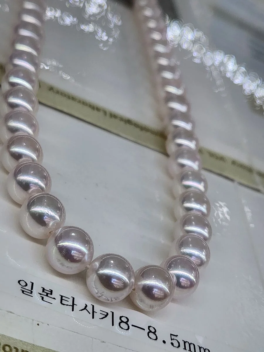 브라운아지트 슈톨렌 4