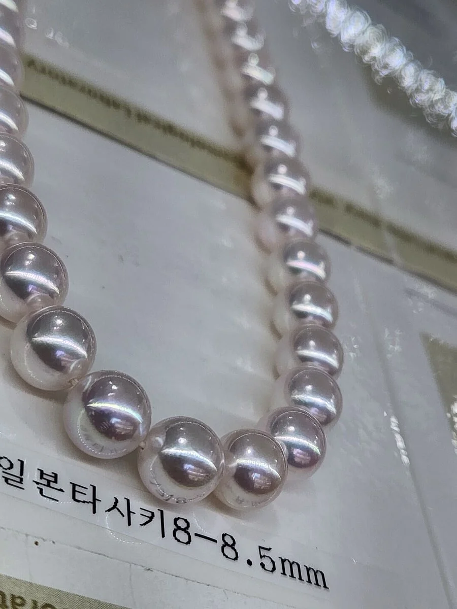브라운아지트 슈톨렌 5