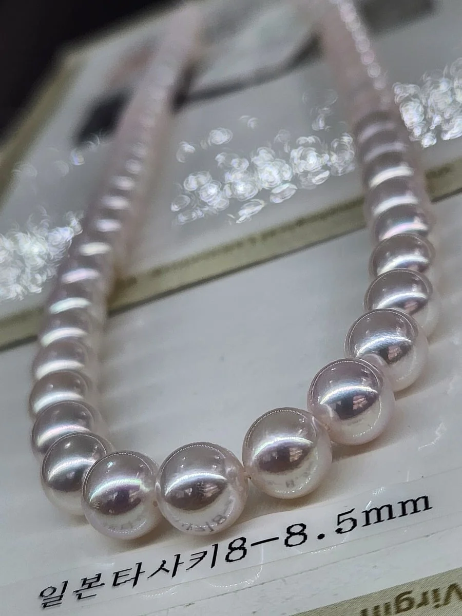 브라운아지트 슈톨렌 6