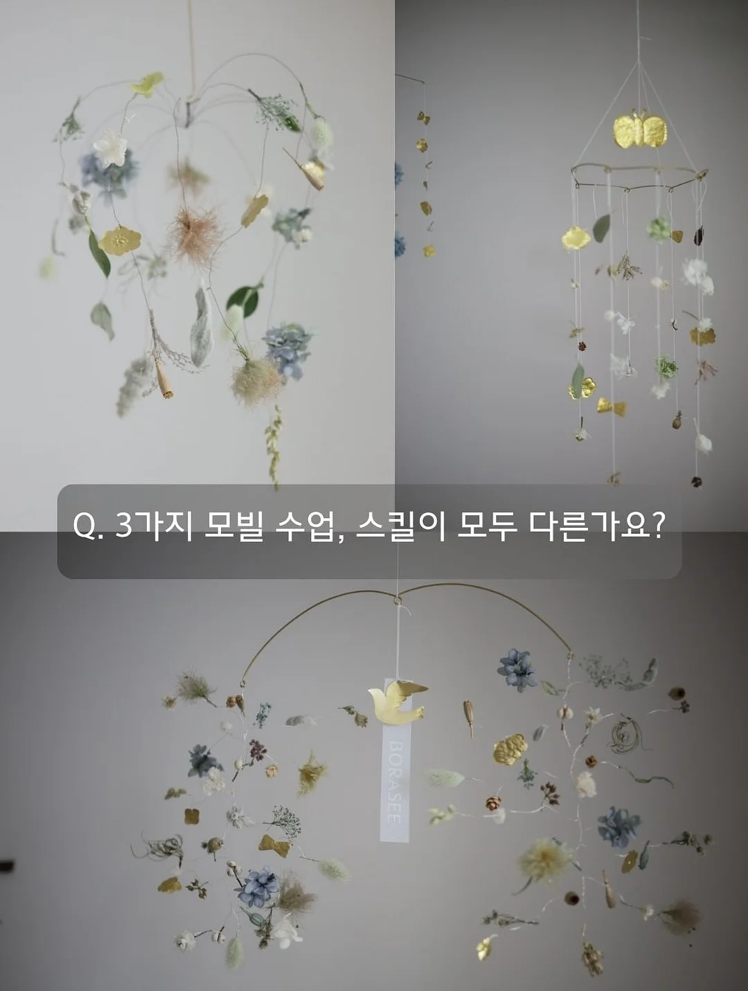 그로우뉴 칼슘 6