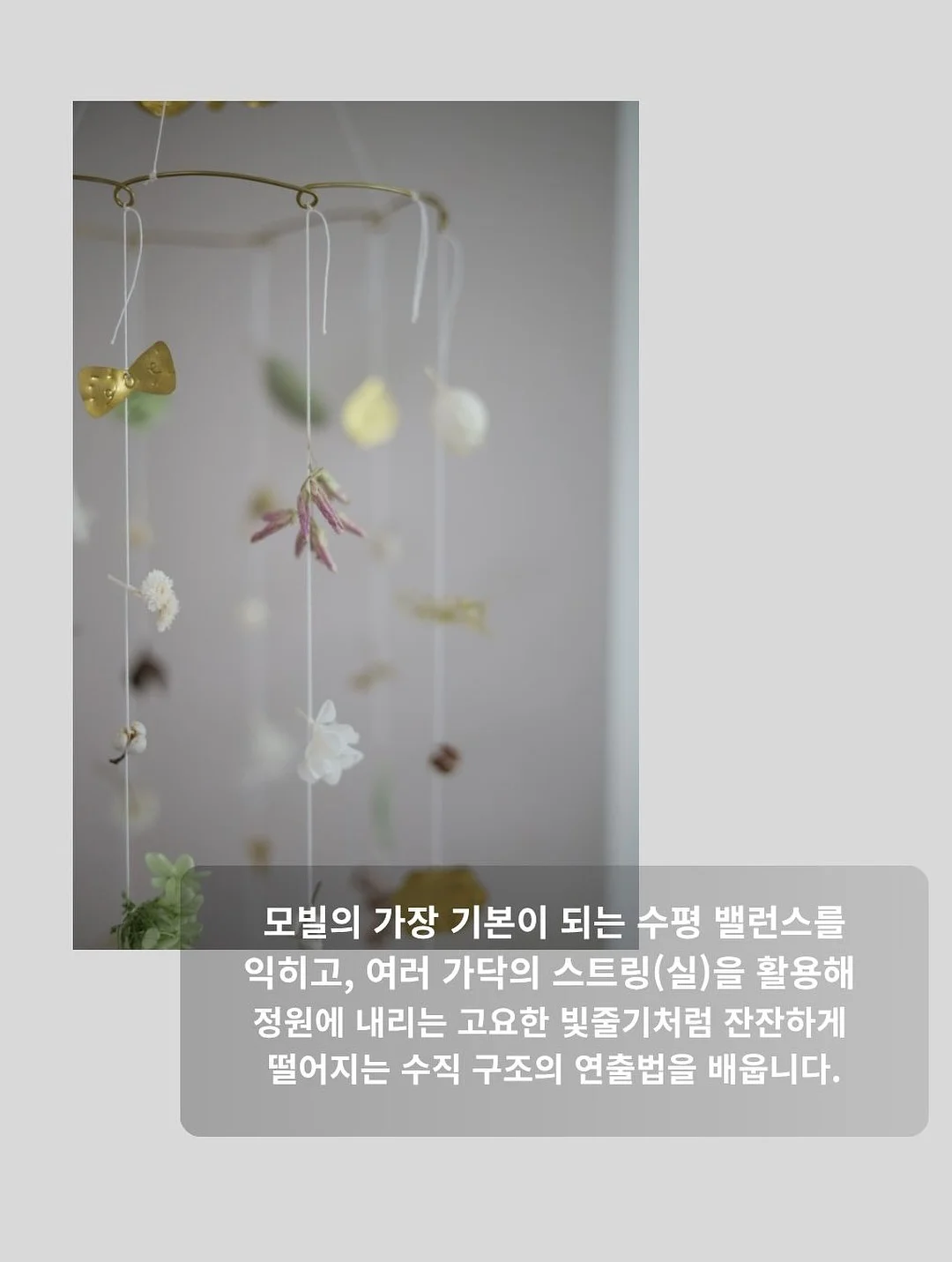 그로우뉴 칼슘 8