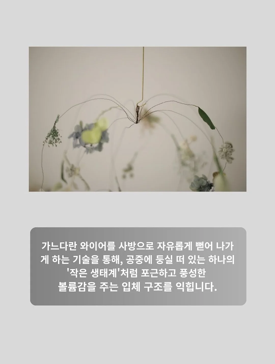 그로우뉴 칼슘 9