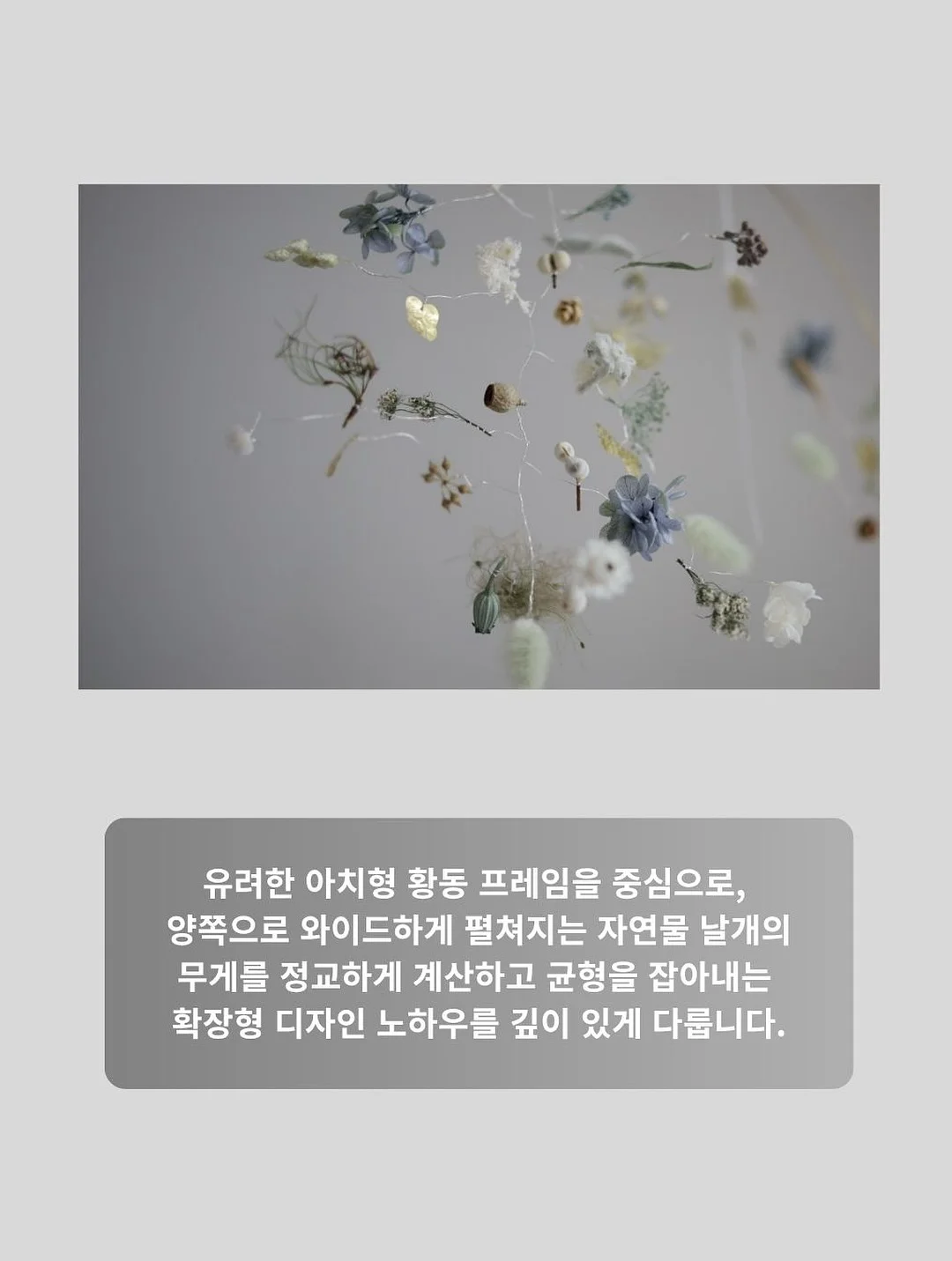그로우뉴 칼슘 10