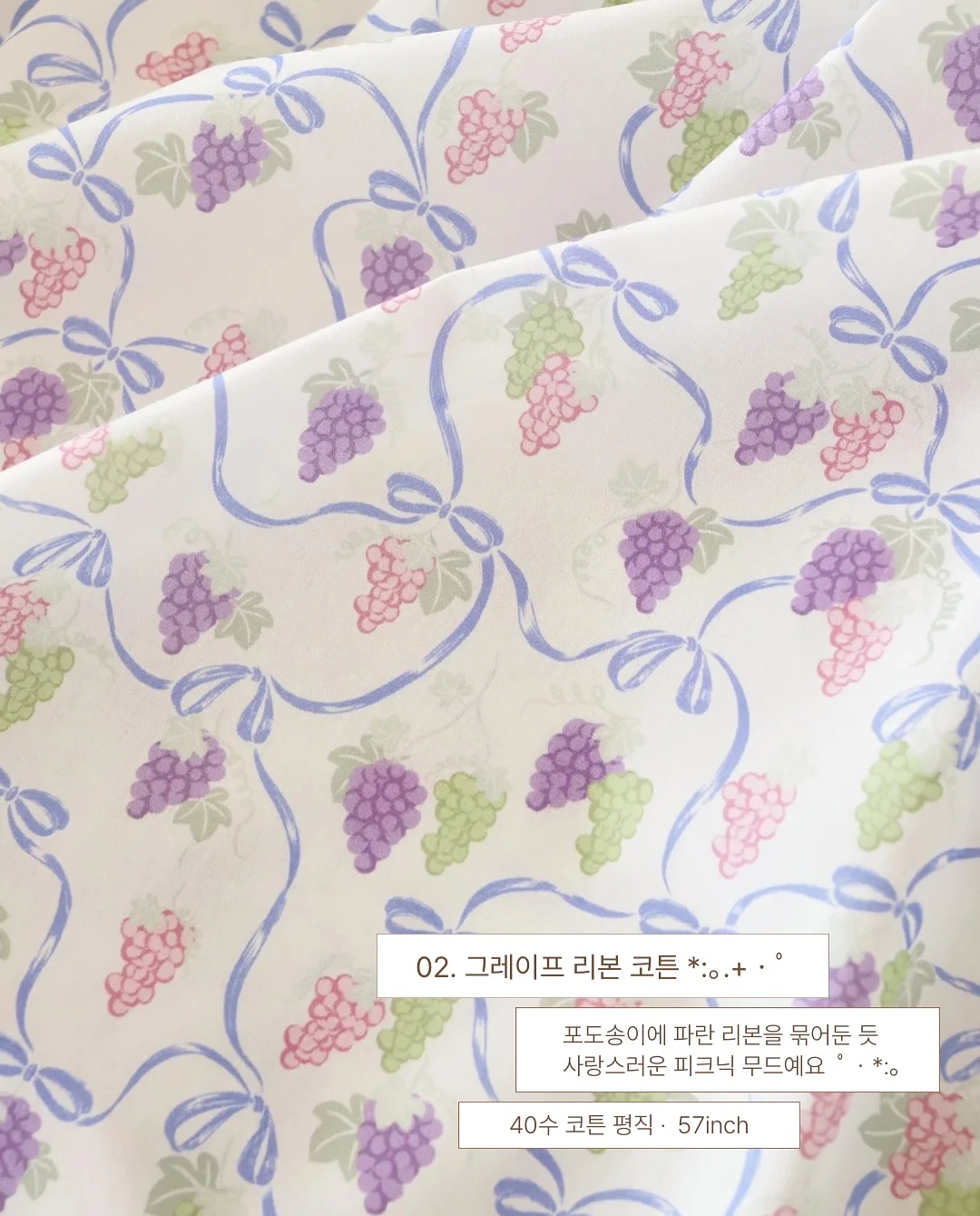 원숭이꼬리 선인장 4