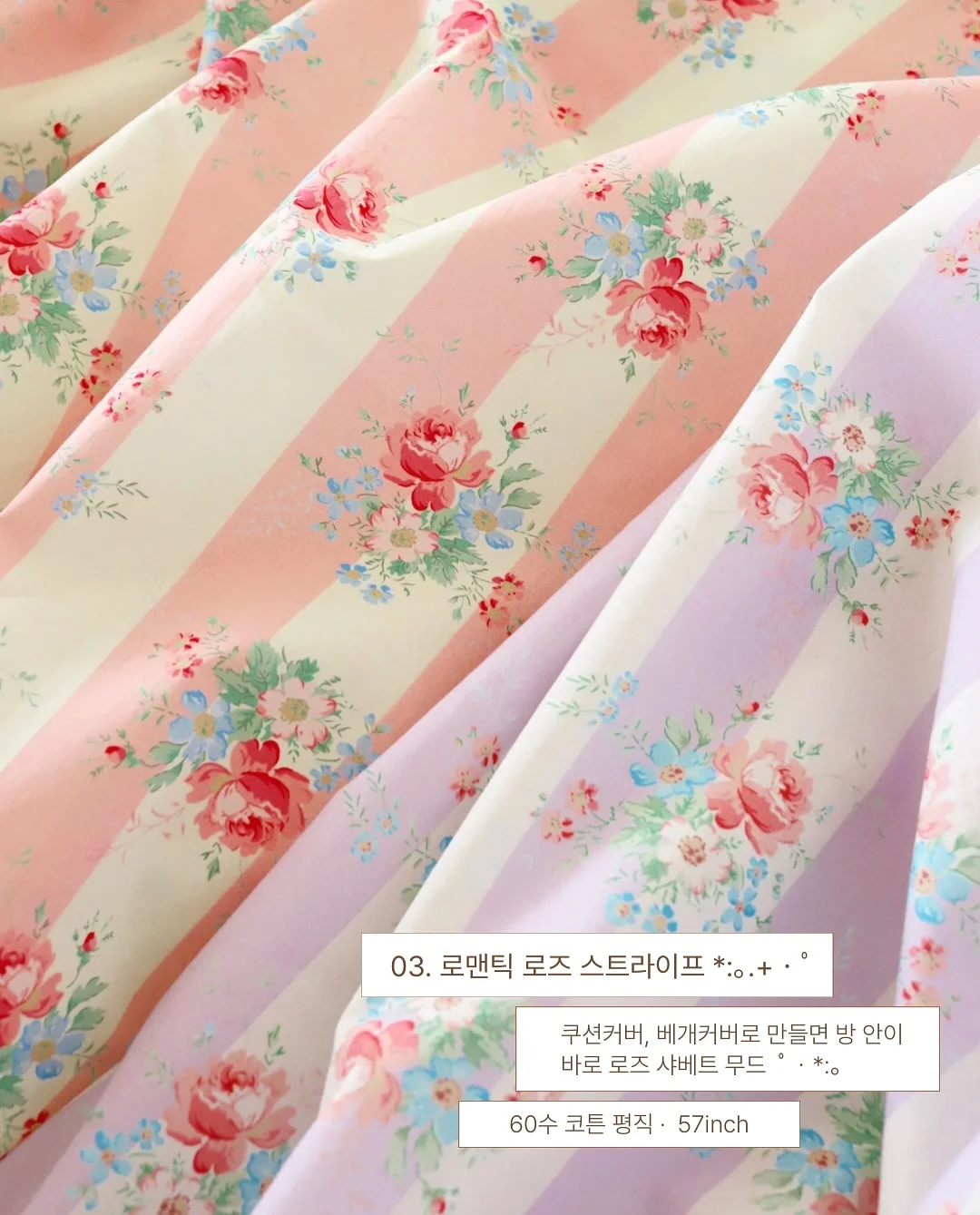 원숭이꼬리 선인장 6