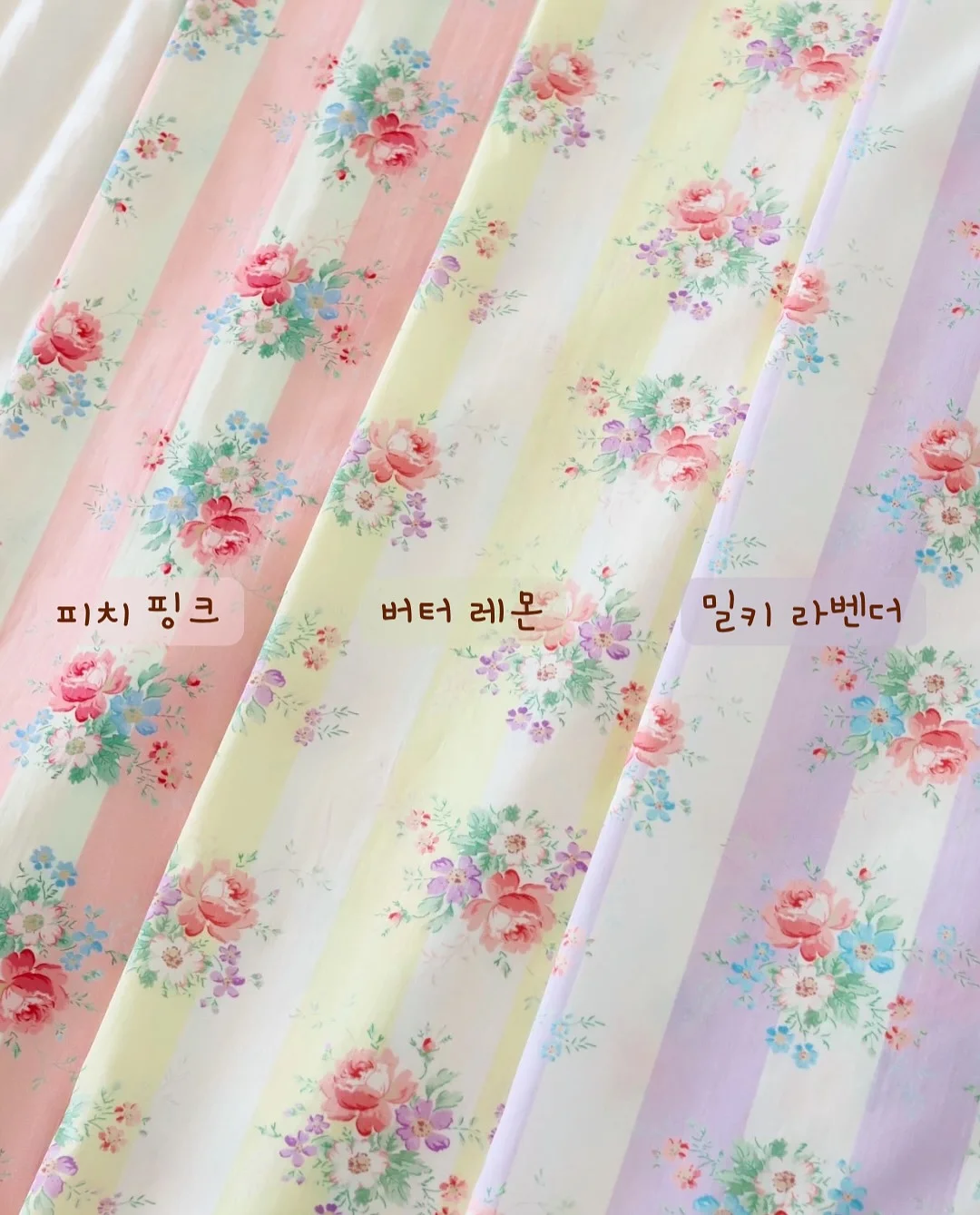 원숭이꼬리 선인장 7