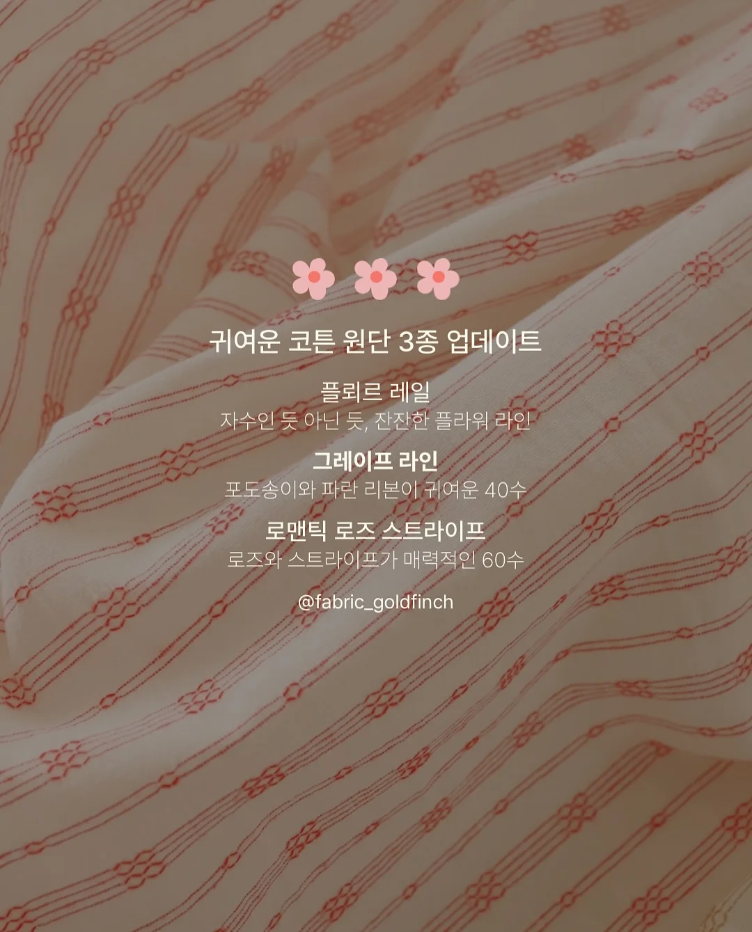 원숭이꼬리 선인장 8