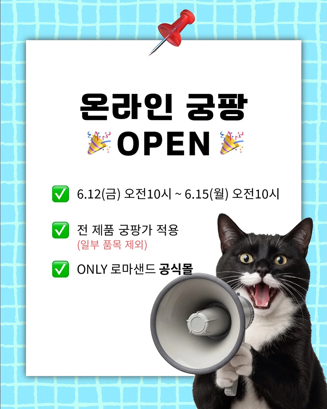 올레정 2