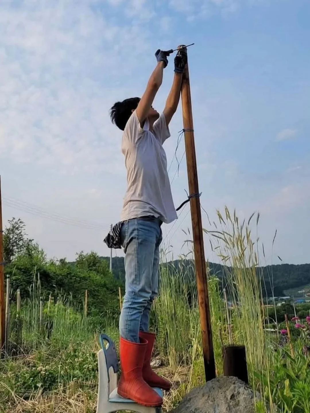 피아노 교구 7