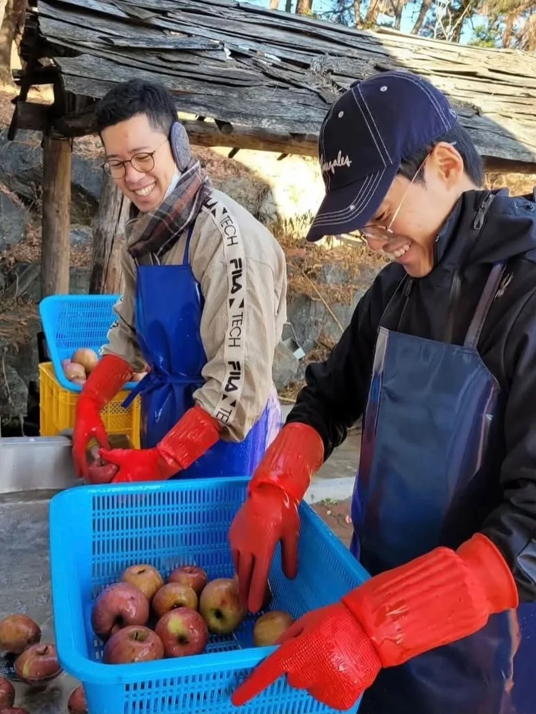 피아노 교구 8
