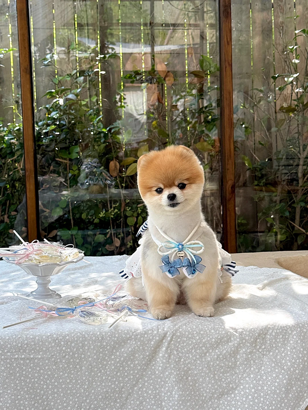 amoo 전면 책꽂이 1