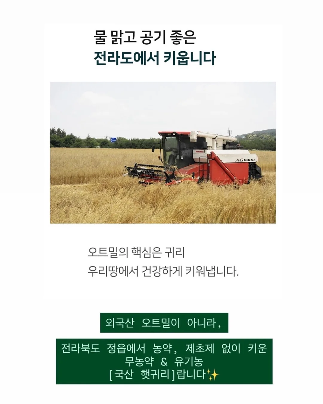 스팸 김치볶음밥 레시피 5