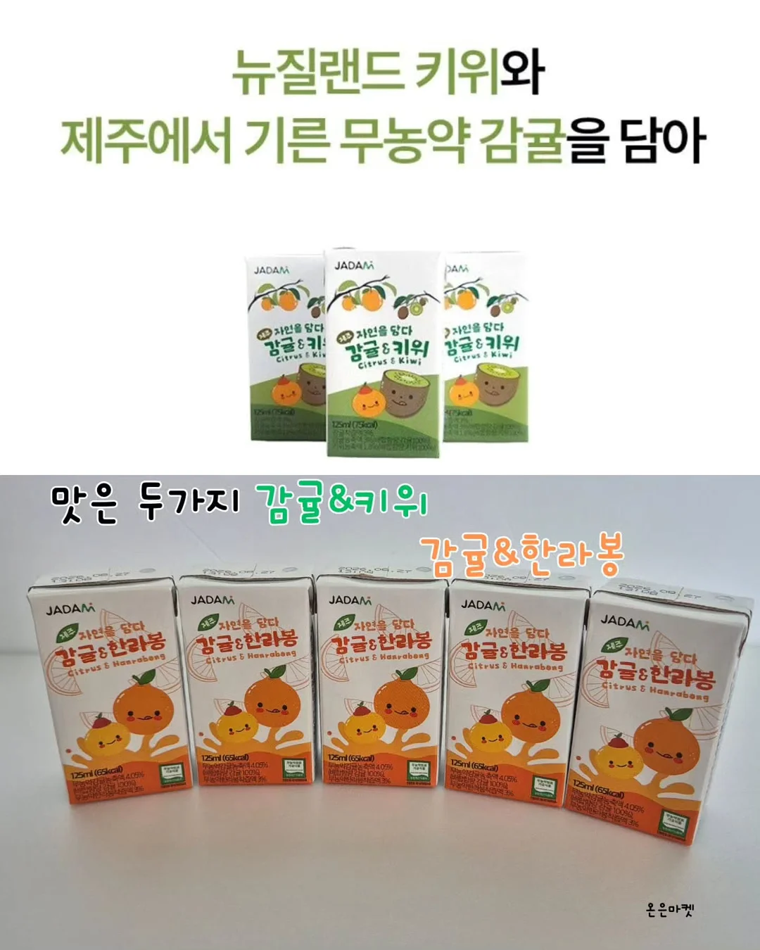 알파CD핏 트리플 5