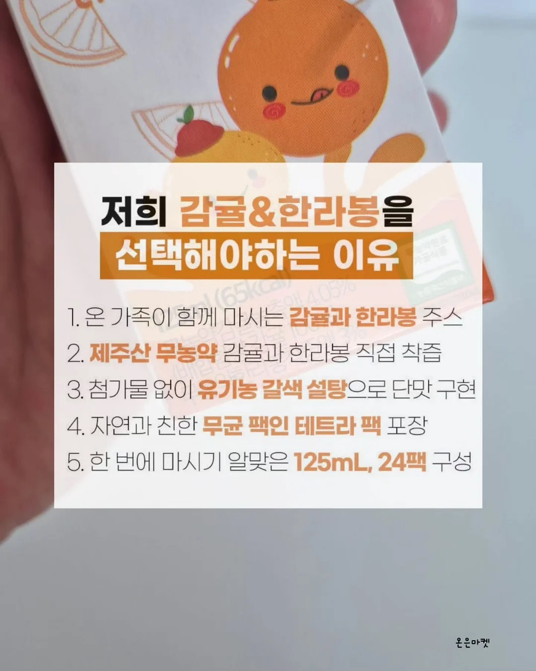 알파CD핏 트리플 6