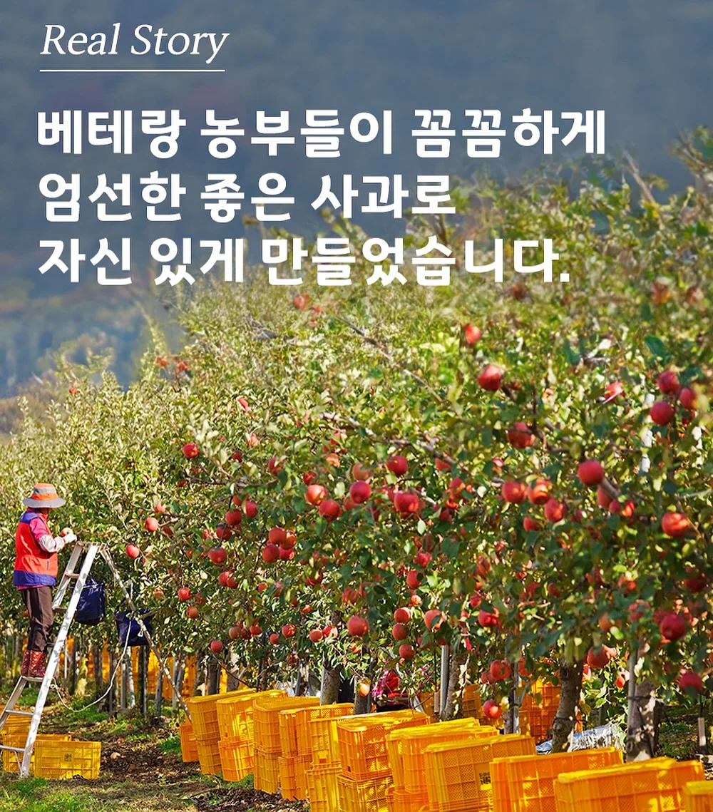 숏다리 한입말랑다리 오징어다리 12