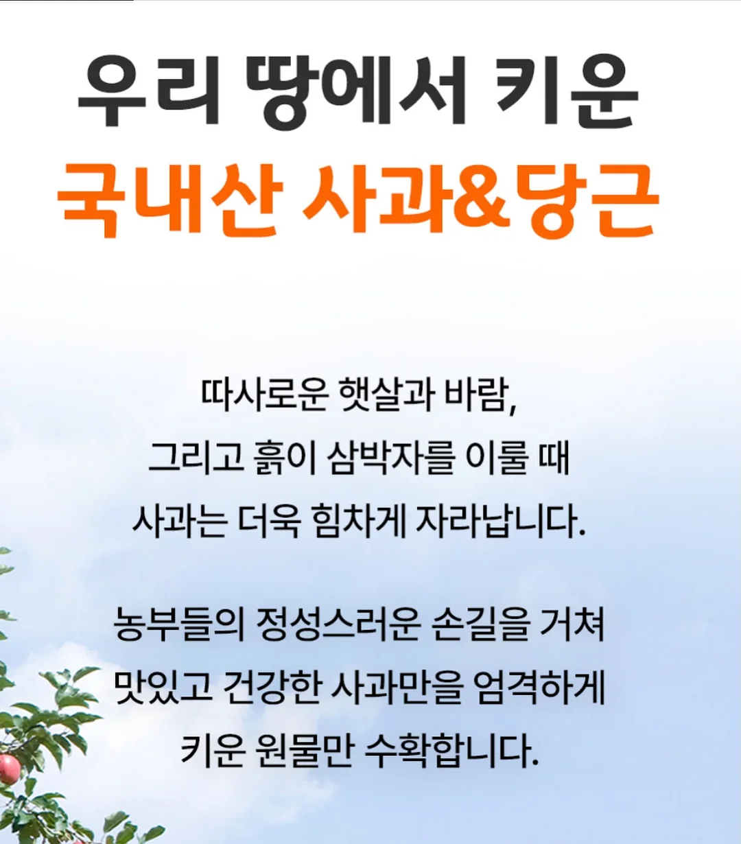 숏다리 한입말랑다리 오징어다리 13