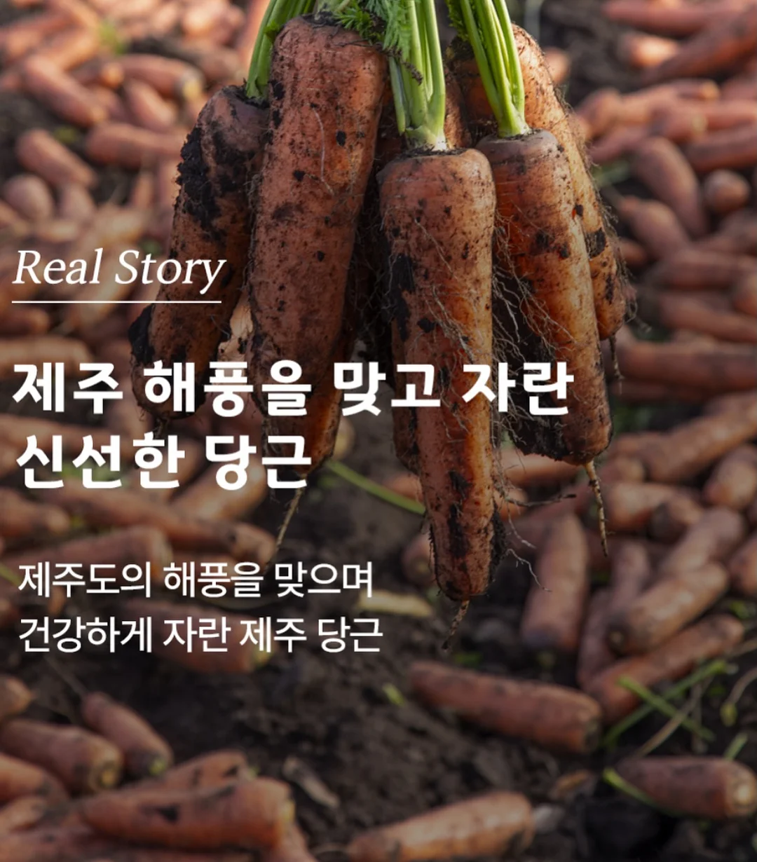 숏다리 한입말랑다리 오징어다리 14