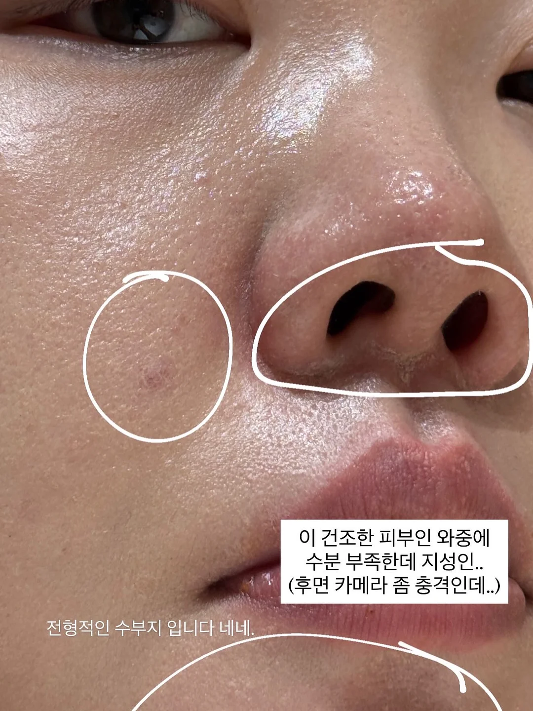 애플데이 세트 2
