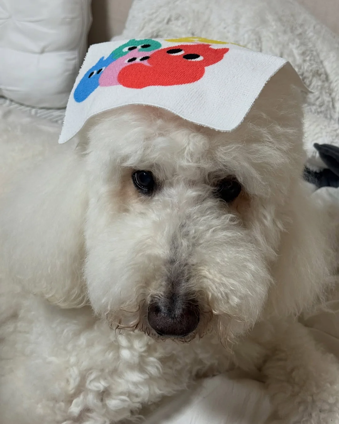 경기도 평생이용권 2