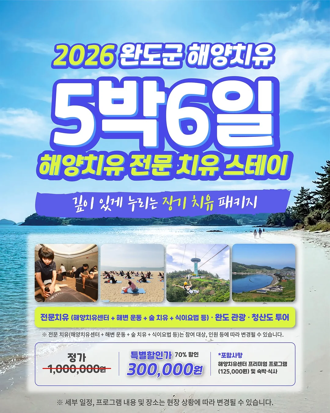 히어리 화병캐리어 6