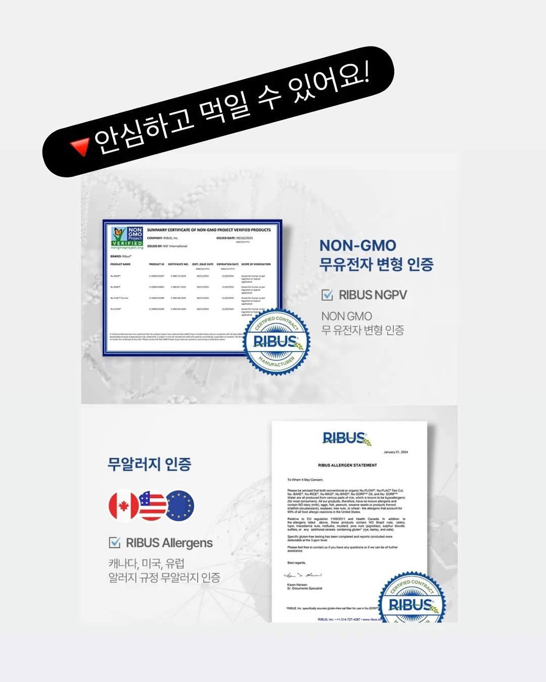 레인보우 체크 반팔 셔츠 6