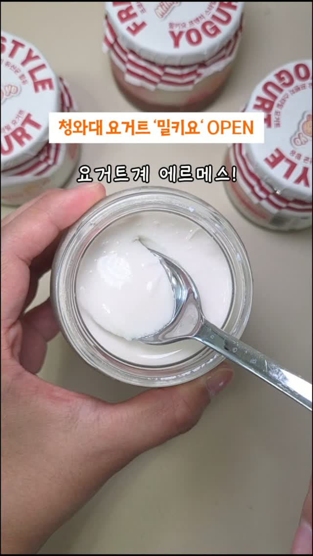 드라세나 마지나타