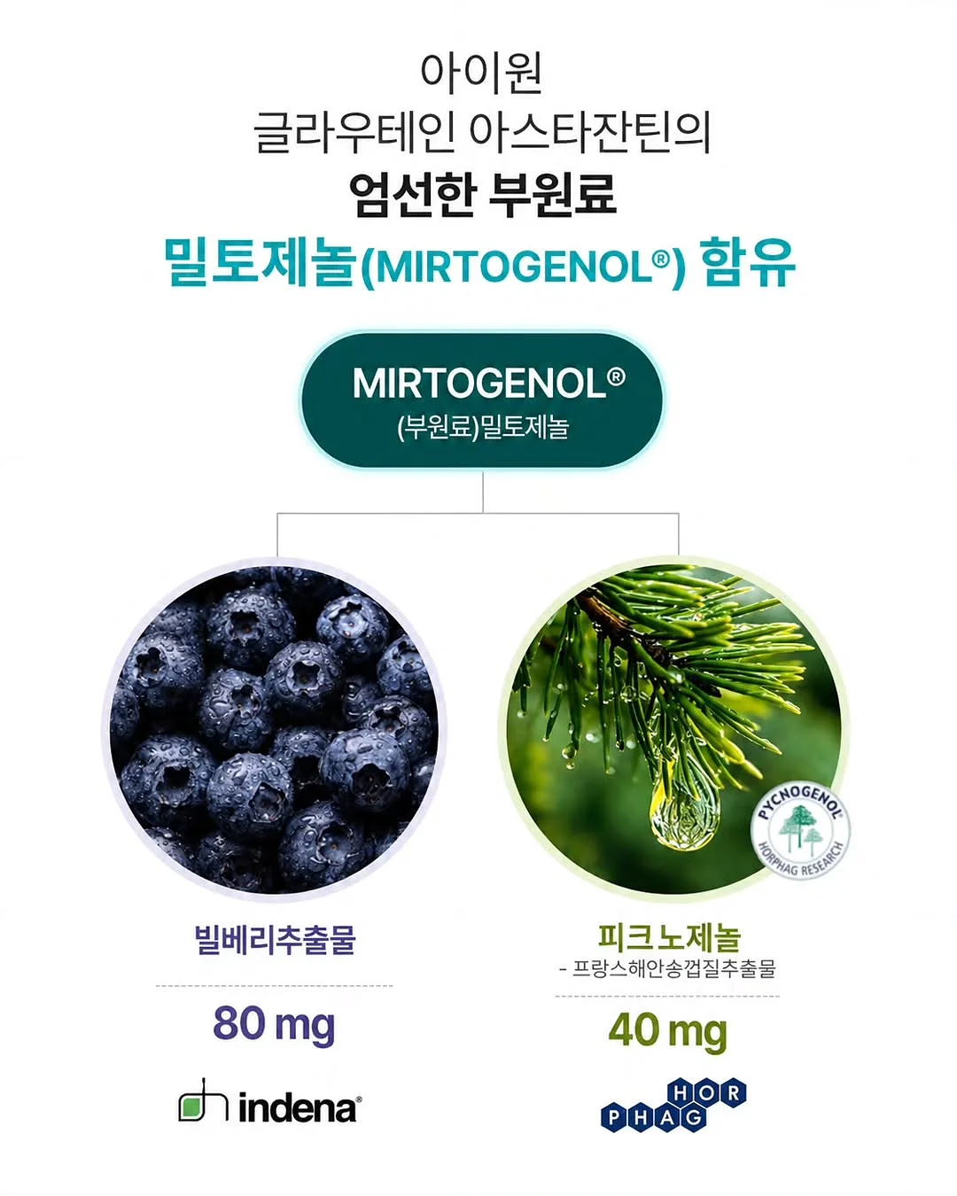 오뚜기 로열라면 8